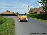 Zandlemig Vlaanderen